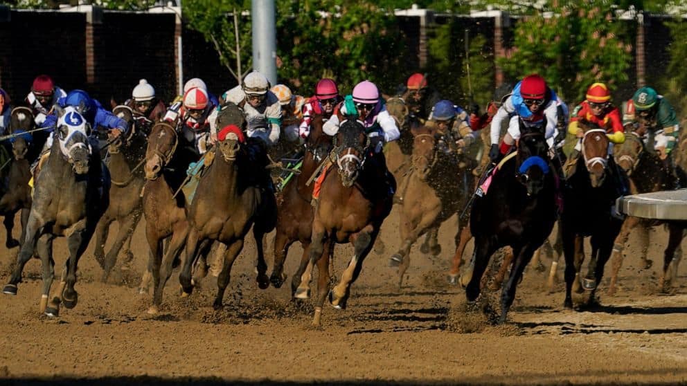 Essential Quality Wins The 153rd Belmont Stakes