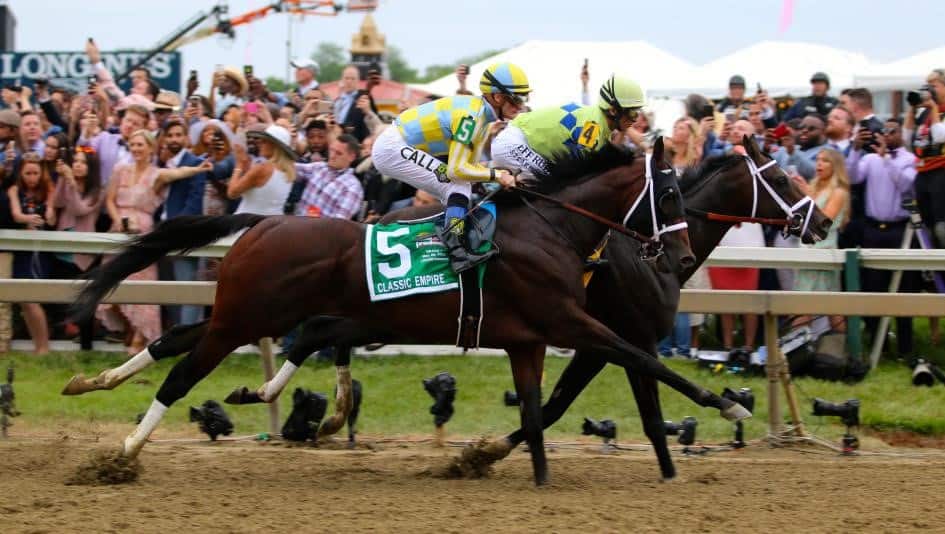 carrera de caballos preakness