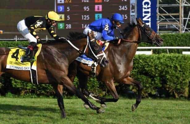 Belmont Oaks Preview & Predictions