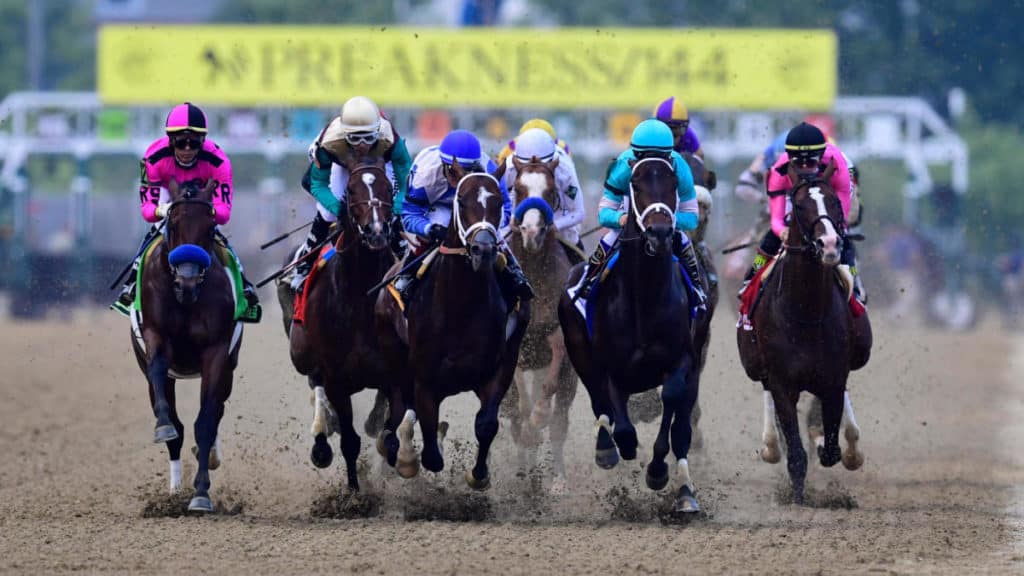 Las carreras de caballos
