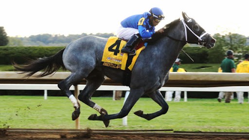 Claiborne Breeders \'Futurity Stakes | Gambyl.com