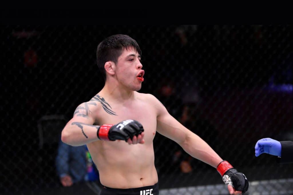 Série de competidores de Dana White
