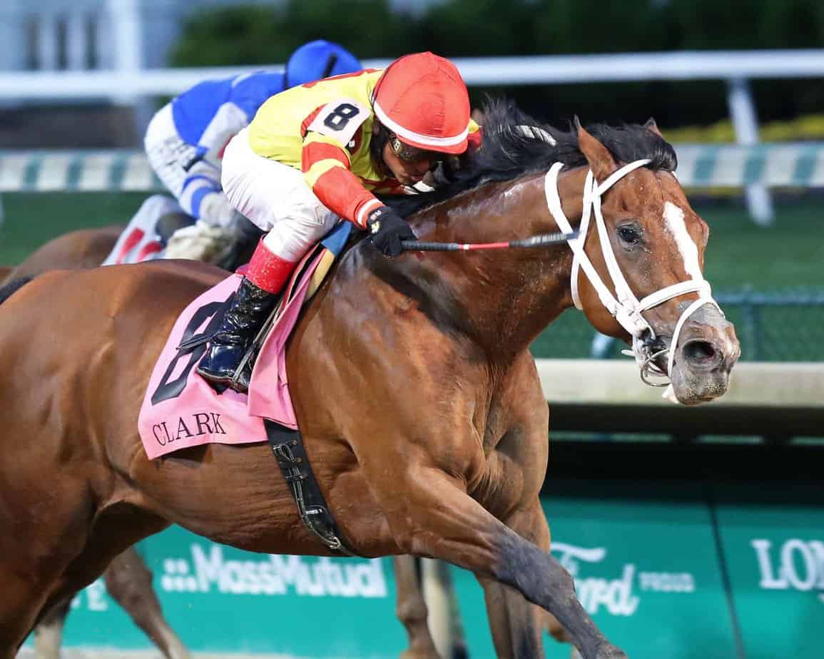 Clark Handicap Horse Racing Preview Kentucky Churchills Downs noviembre