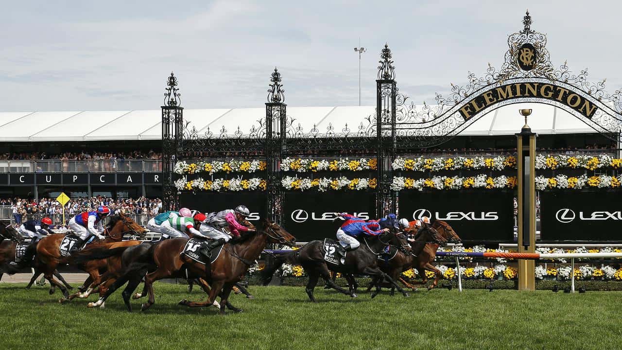 Melbourne Cup – Preview and Free Picks