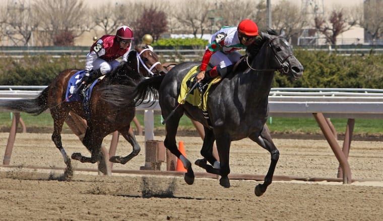 Aqueduto de pré-visualização da corrida de cavalos de Cigar Mile Field 2021 NY