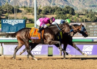 Risen Star Stakes 2022 – Horse Racing – Preview