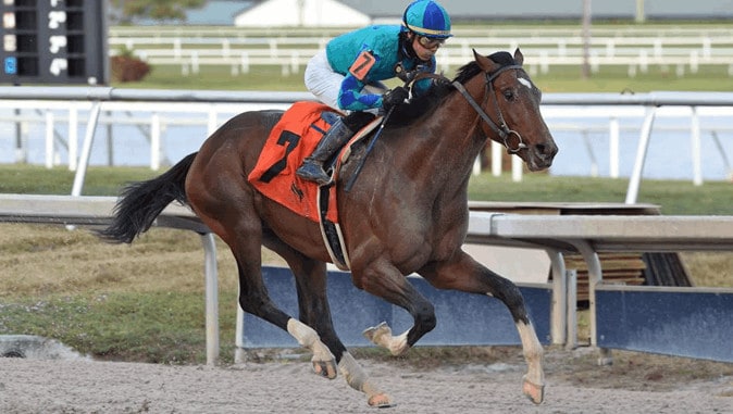 Antevisão da Corrida de Cavalos Fountain of Youth Stakes 2022, Flórida