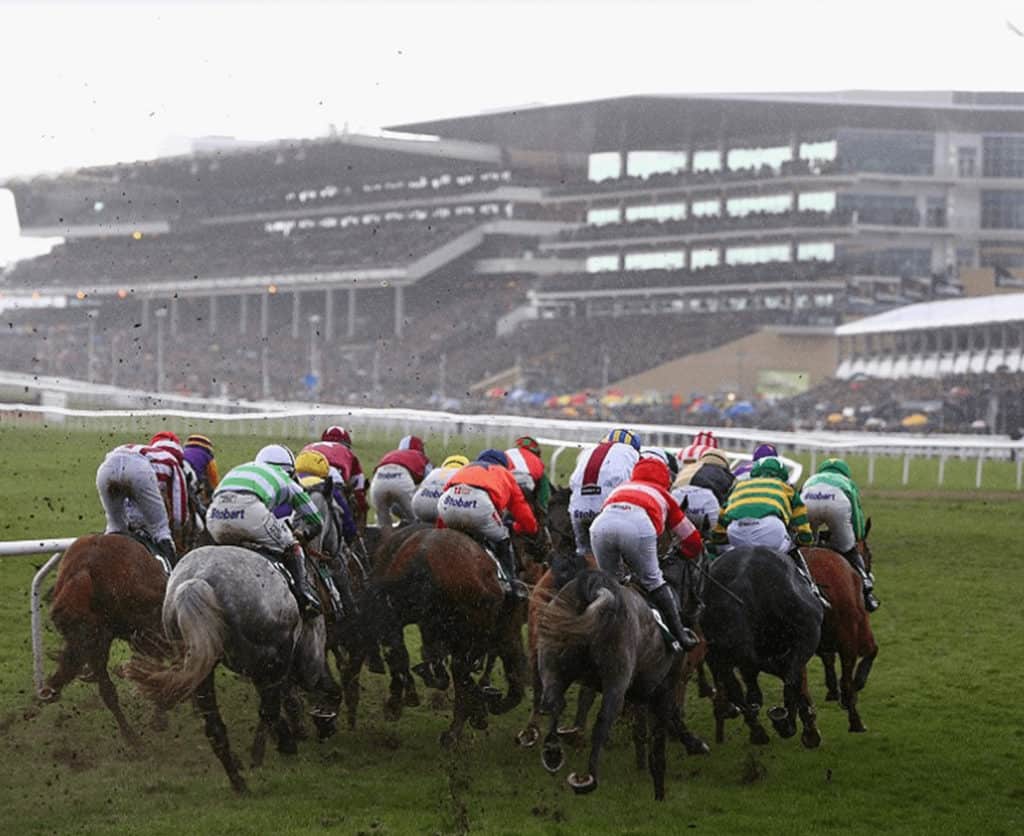Copa de Oro de Cheltenham cada uno