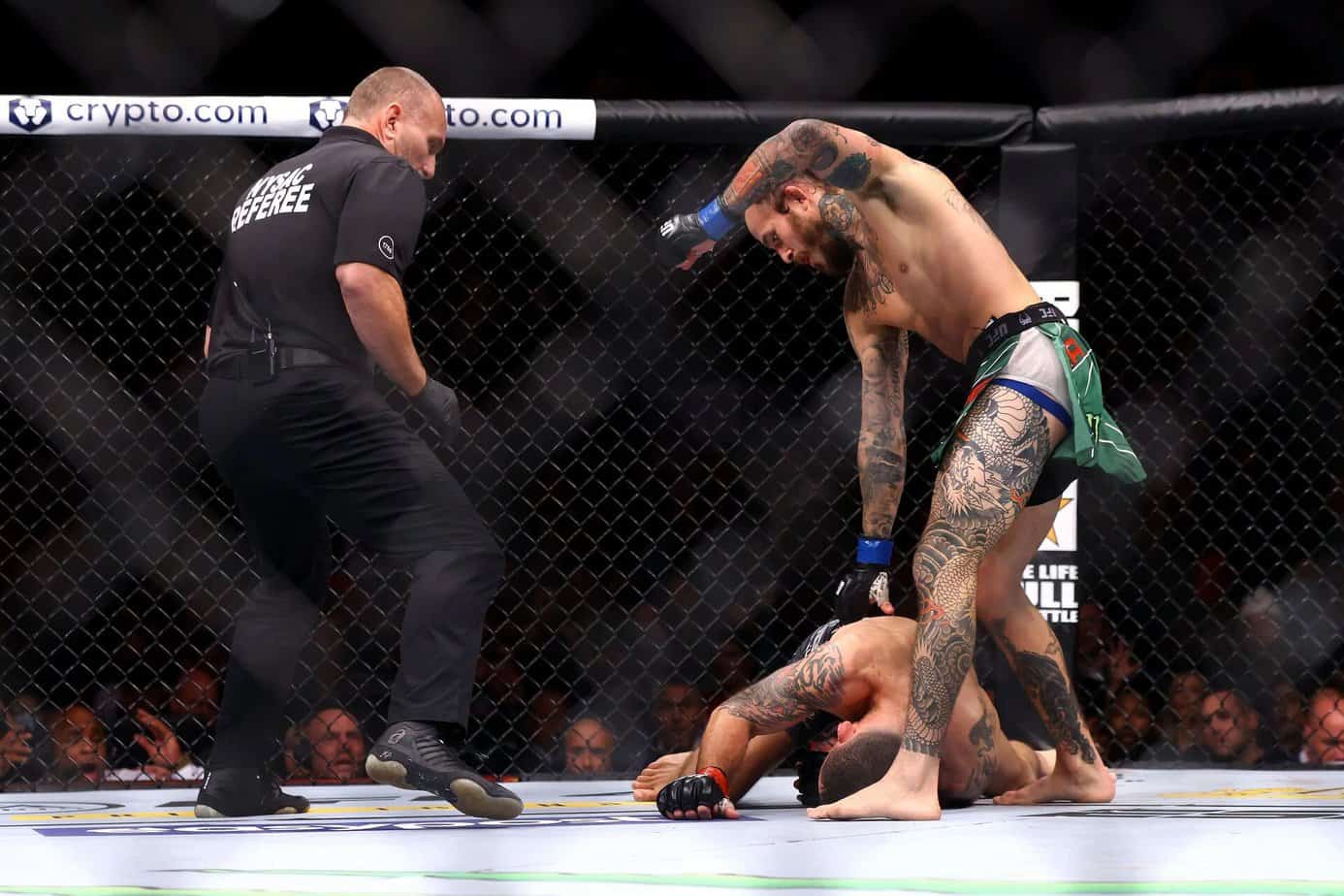 UFC Fight Night: Vera x Cruz – Antevisão e Probabilidades de Aposta