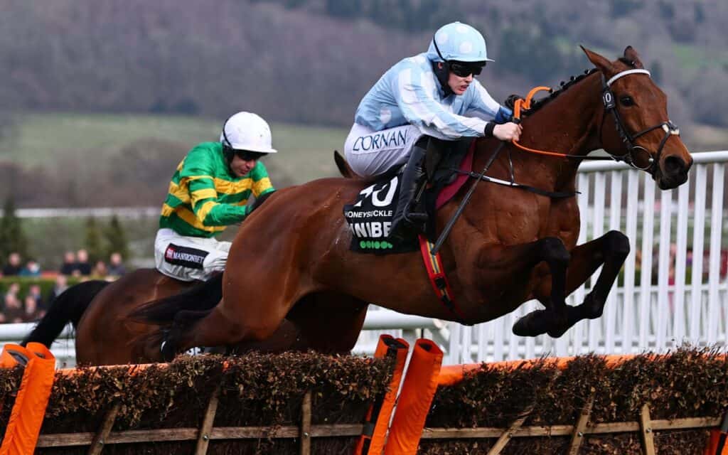 Avance del Festival de Cheltenham 2023