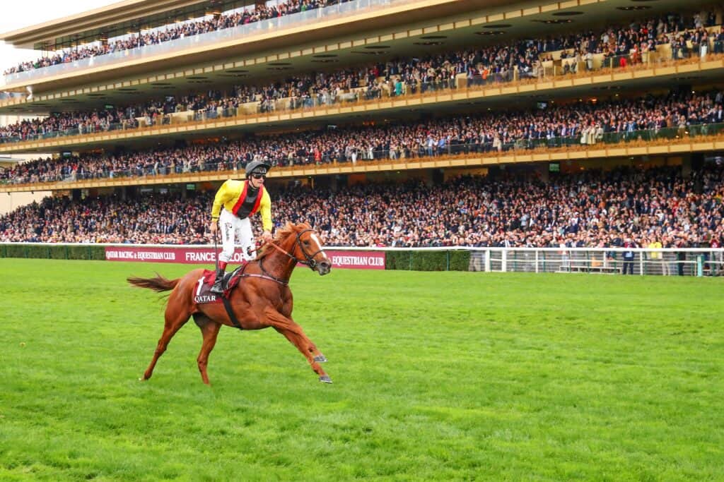 Avance y selecciones gratuitas del Prix de l'Arc de Triomphe de Qatar 2023