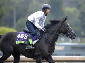 2023 Breeders Cup