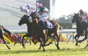2023 Japan Cup