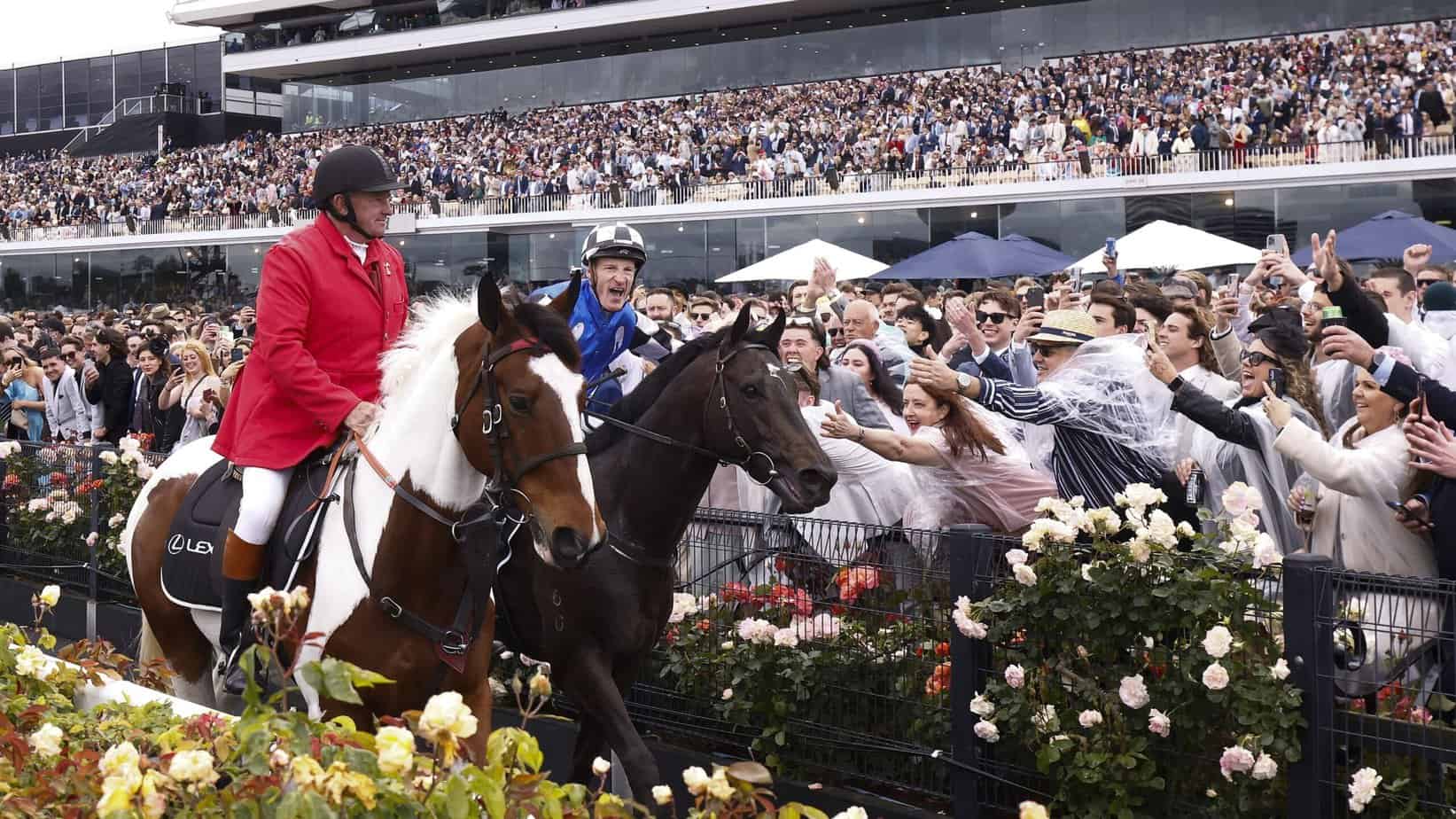 2023 Melbourne Cup Preview and Betting Odds