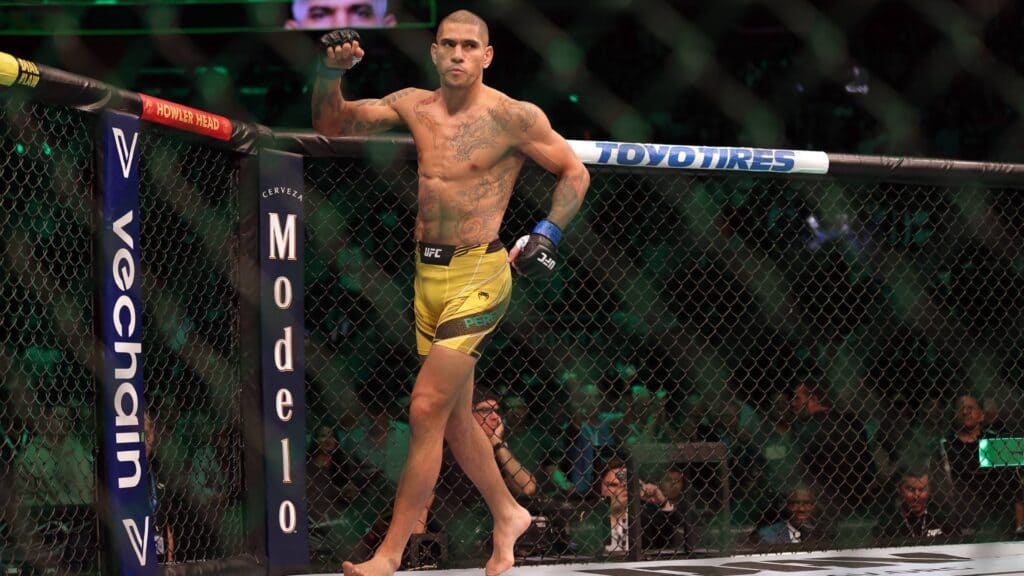 UFC 295: Prochazka x Pereira