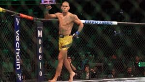 UFC 295: Prochazka vs. Pereira