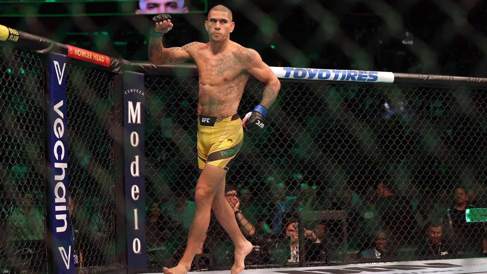 UFC 295: Cuotas y Pronósticos para la Cartelera de Prochazka vs Pereira