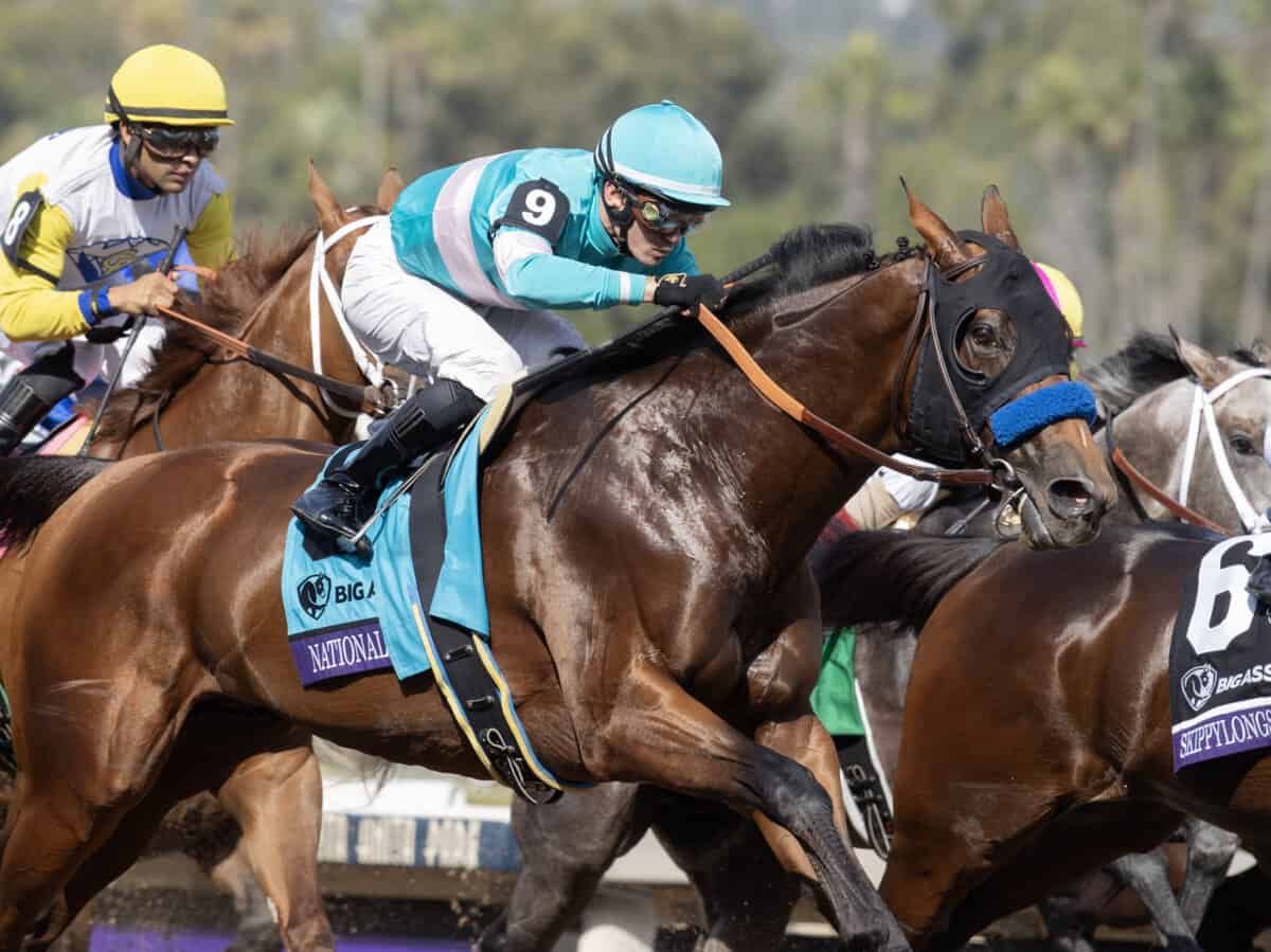 Pegasus World Cup 2024 Betting Odds and Free Pick