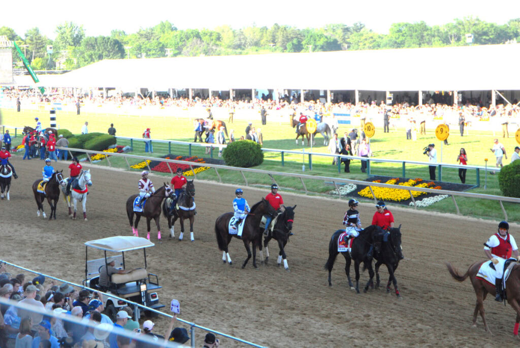 Apuestas de preakness